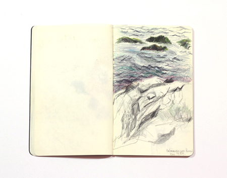 moleskine1c 